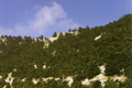 Egosthenion